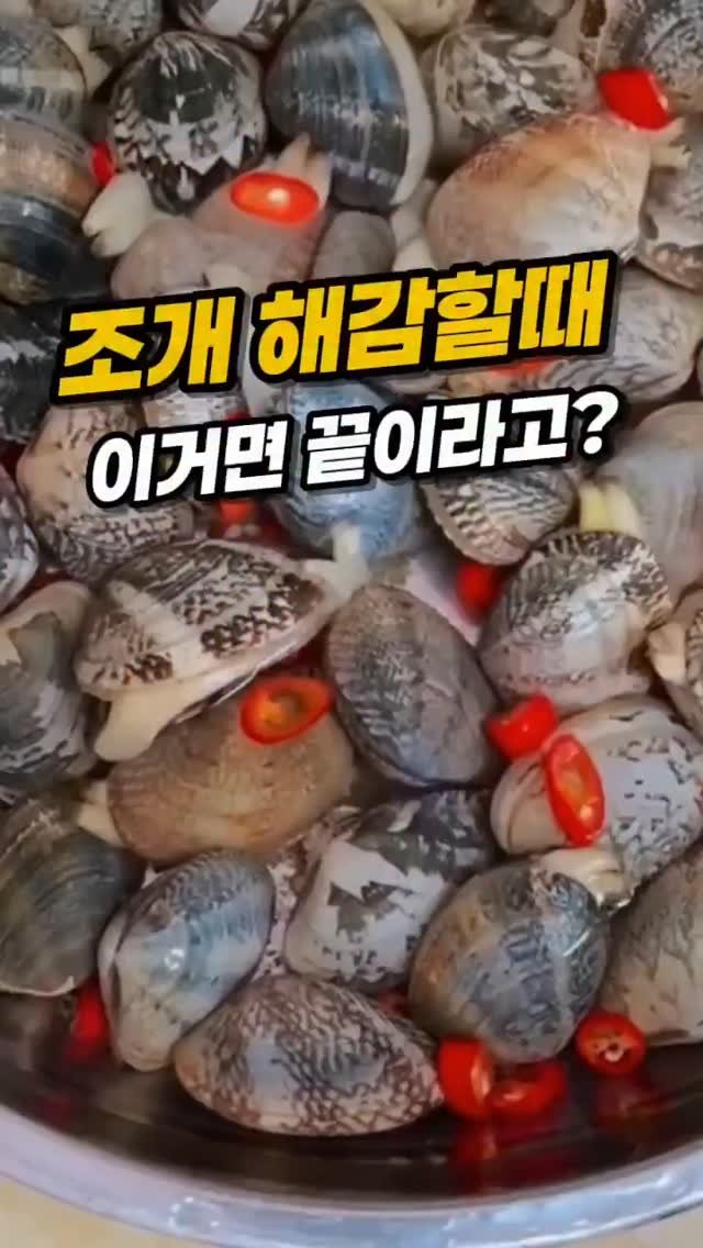 rina_homed 게시물 이미지: ​📌 댓글에 ' 조개 ' 남겨주시면 건물 올린 칼국수집 사장님의 해감 비법 바로...