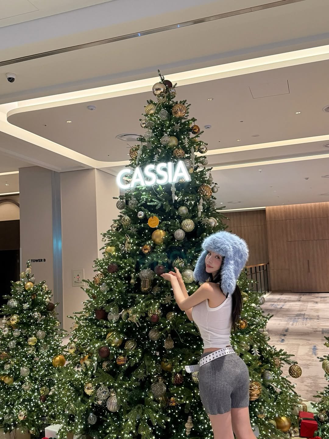 Photo by 𝘾𝙝𝙚𝙧𝙧𝙮🍒 on December 26, 2025. May be an image of christmas tree, tinsel and text that says 'CASSIA'.