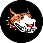 rednose_oficial 프로필 사진