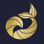 atlantik_studios 프로필 사진