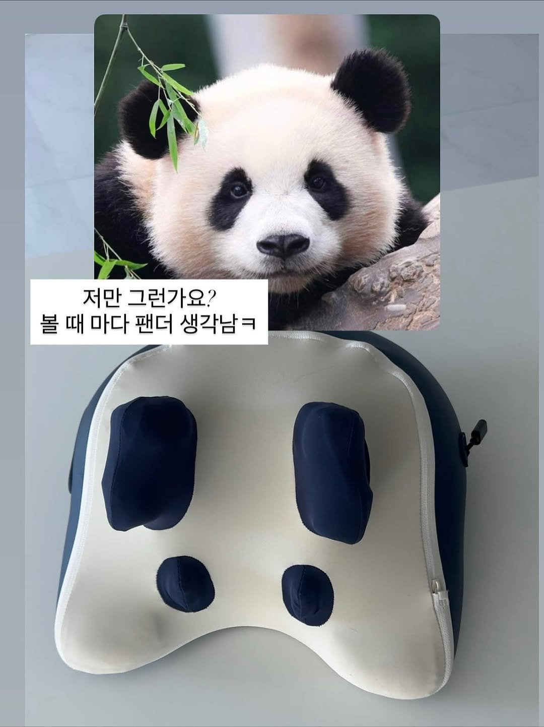 Photo by 리따홈 | 박예진 on September 18, 2025. May be an image of panda, pencil case, pouch and text that says '저만 그런가요? 볼 때 마다 팬더 생각남ㅋ'.