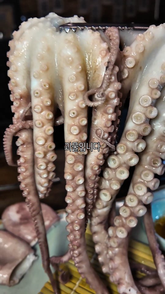 rjungcall 게시물 이미지: 남영동 야리까기 좋은 골목에 숨어있는 산해촌
알콜러들은 좋아할수밖에 없는 메뉴 총...