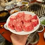 sikugyeong 프로필 사진
