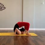 angelyoga_cheongna 프로필 사진