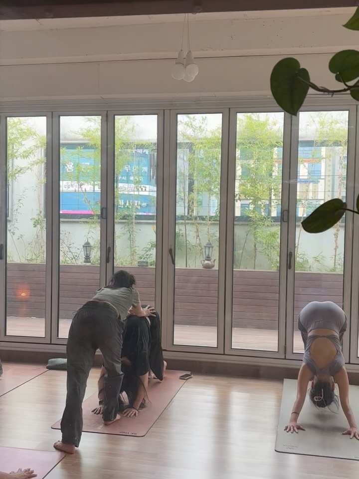 rk___yoga 게시물 이미지: 수요일 오전 | 저녁 , 화요일 저녁 수련 🙏🏾✨
남녀노소 누구나에게 열려있는...