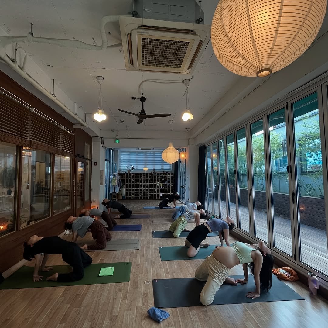 Photo by 려경 요가 on August 16, 2025. May be an image of 7 people, people practicing yoga and text.