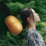 wellness.potato 프로필 사진