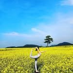 _radha_yoga 프로필 사진