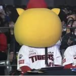 we_are_the_kiatigers 프로필 사진