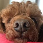 inhyuk_bb 프로필 사진