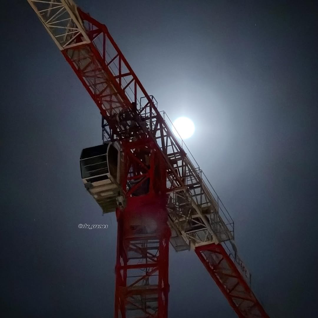 Photo by Renato on January 03, 2026. May be an image of crane and text.