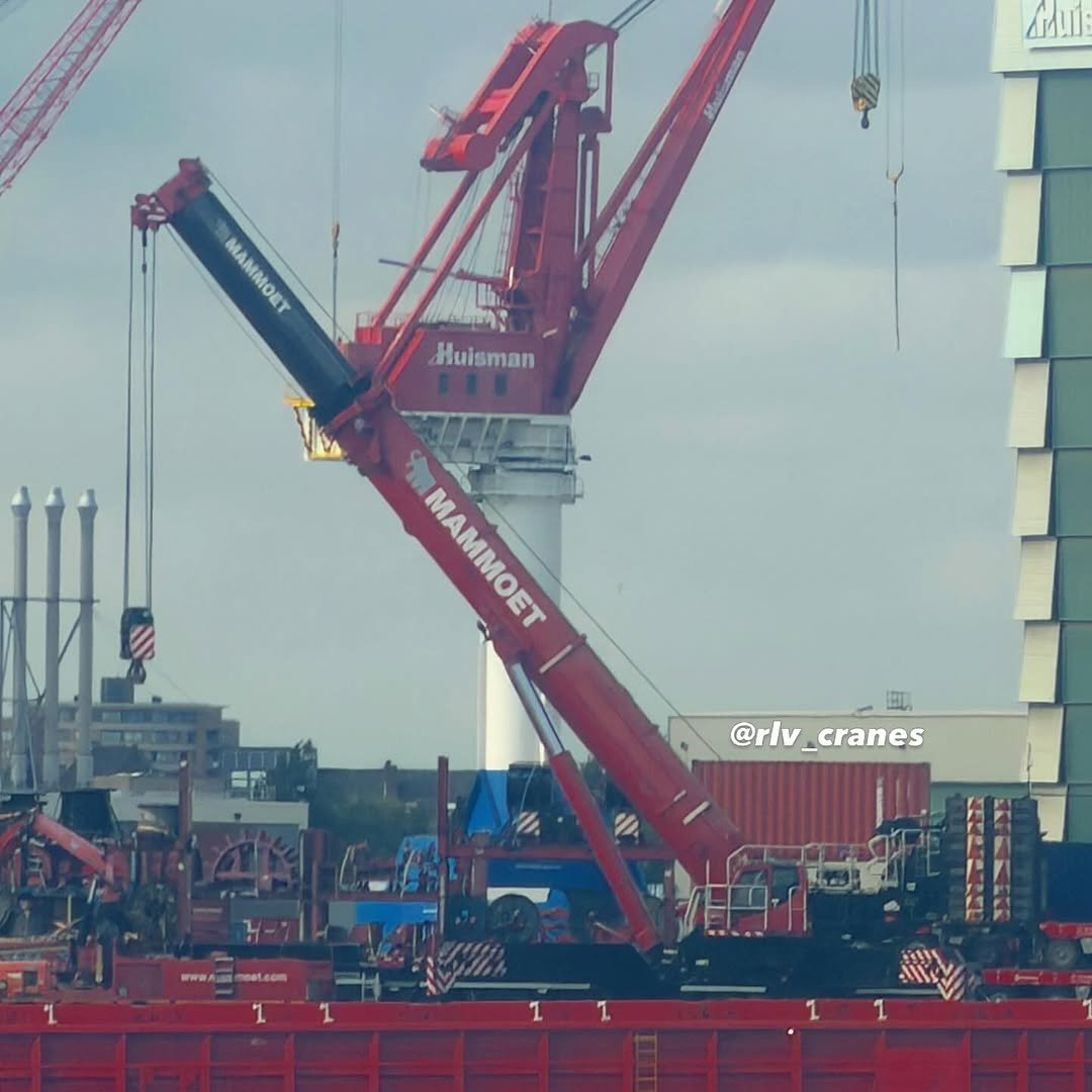 rlv_cranes 게시물 이미지: Liebherr LTM 1750-9.1

Mammoet 🔴⚫️

#mammoet...
