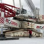 rlv_cranes 인스타그램 프로필 사진