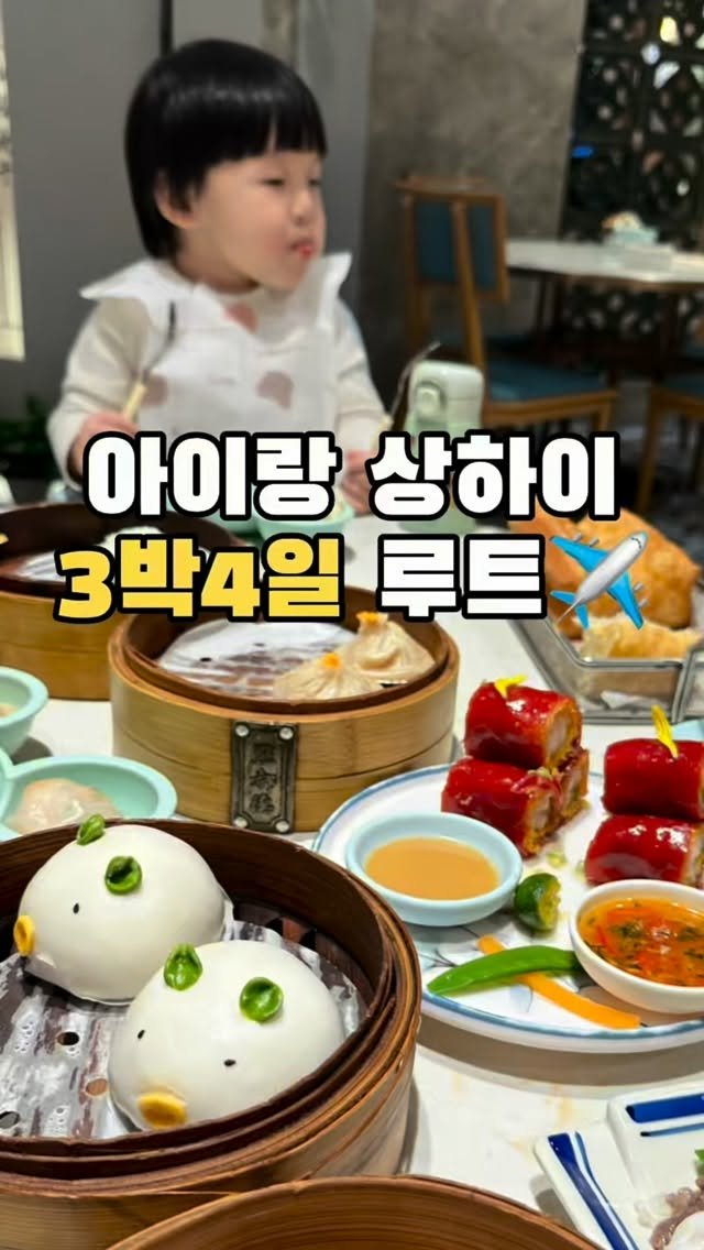 robro.log 게시물 이미지: [저장💌공유✈️] 아이랑 상하이 3박4일 루트
쌍둥이유모차 끌고 다녀온 현실...