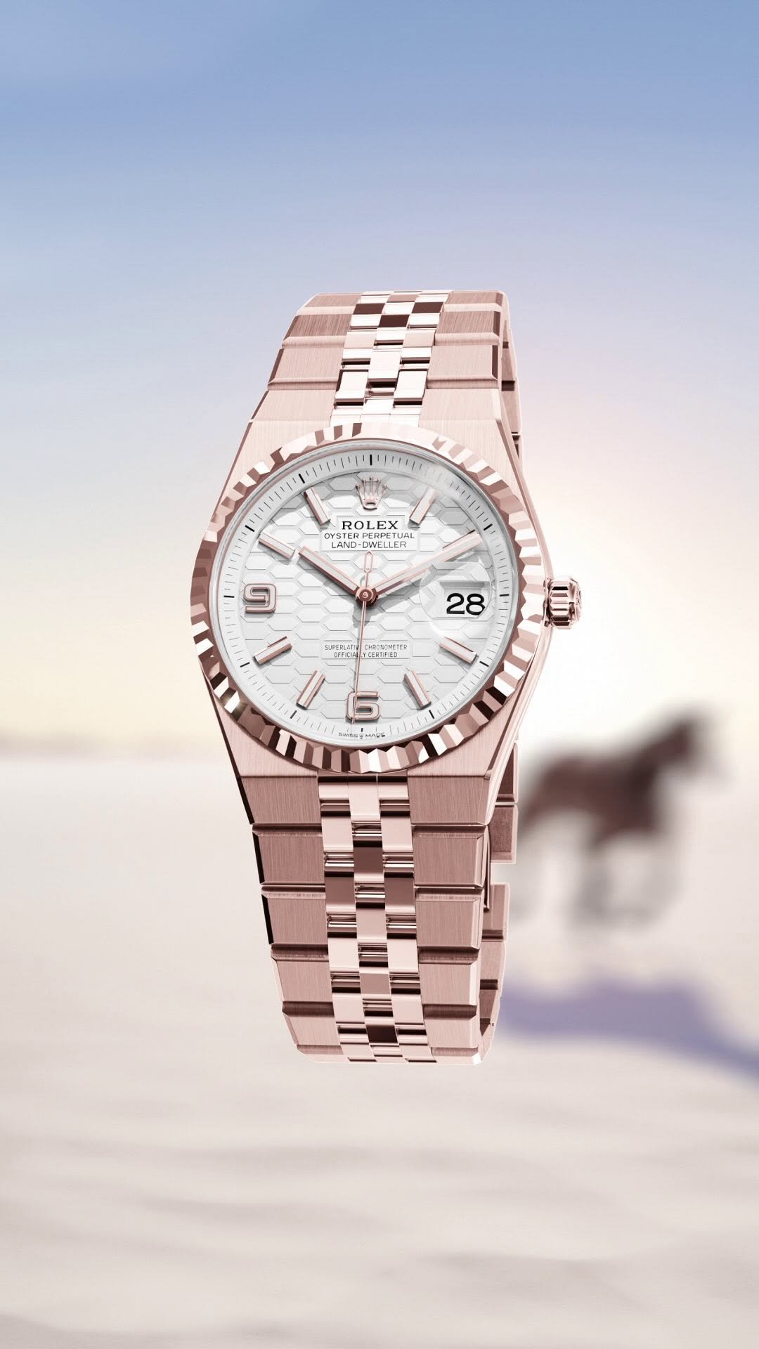 rolex 게시물 이미지: A new year rises. The horse advances. May 2026...