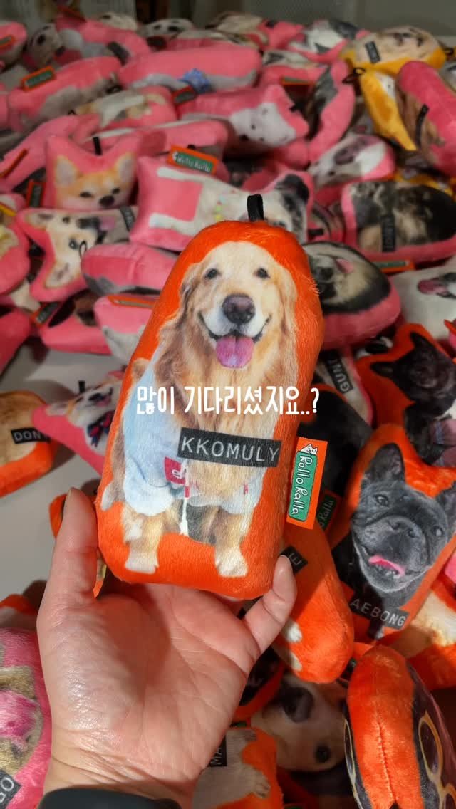 rollo_ralla 게시물 이미지: 반려견 보호자에게 절대 공유금지❌❌

내새끼 키링.. 
너무 귀야워서 눈...