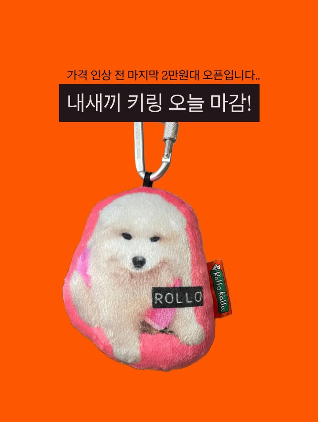 Photo by 롤로랄라 | 내새끼에 진심. 열심. 초심🔥 on February 13, 2026. May be an image of ‎poster and ‎text that says '‎가격 인상 전 마지막 2만원대 오픈입니다.. 내새끼 키링 오늘 마감! ج Rollo ROLLO RolloRalla ๕ Ralla‎'‎‎.