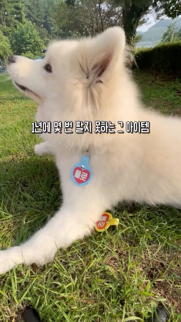 rollo_ralla 게시물 이미지: 제작이 어려워 정말 오픈이 어려운 아이템!
내새끼 네임팝

내일 10/2(목) 오전...