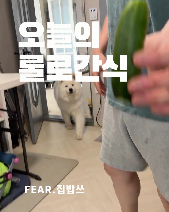 rollo_ralla 게시물 이미지: 🍅🥒장점은 맨 뒤에..
뭐 이미 다들 잘 알고 있는 내용이지만!!

한번 더 짚고...