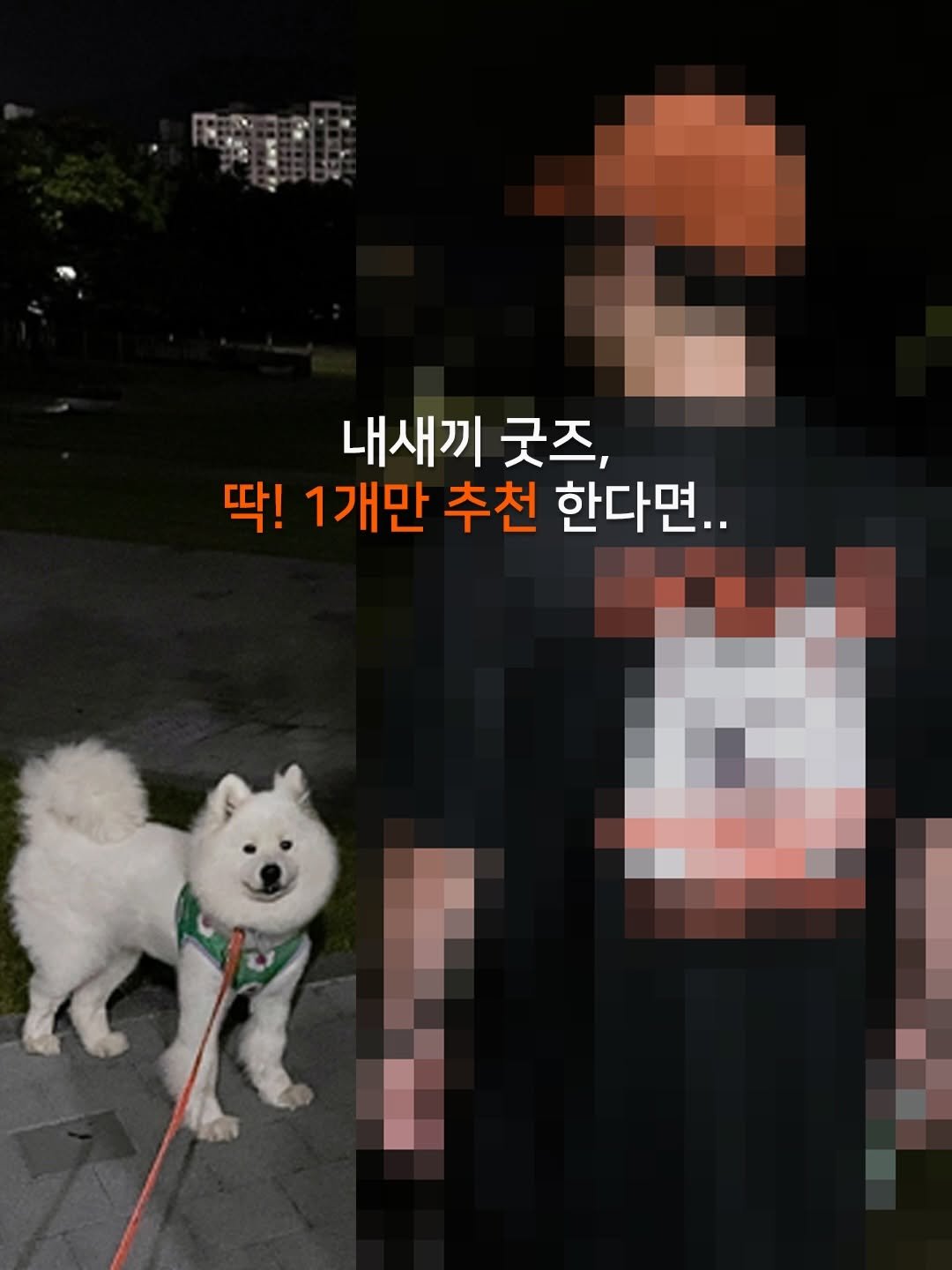 rollo_ralla 게시물 이미지: 🔥영상에는 없는 내용..

❄️❄️
저한테 딱 한가지 산다면 뭐 사야해요??...