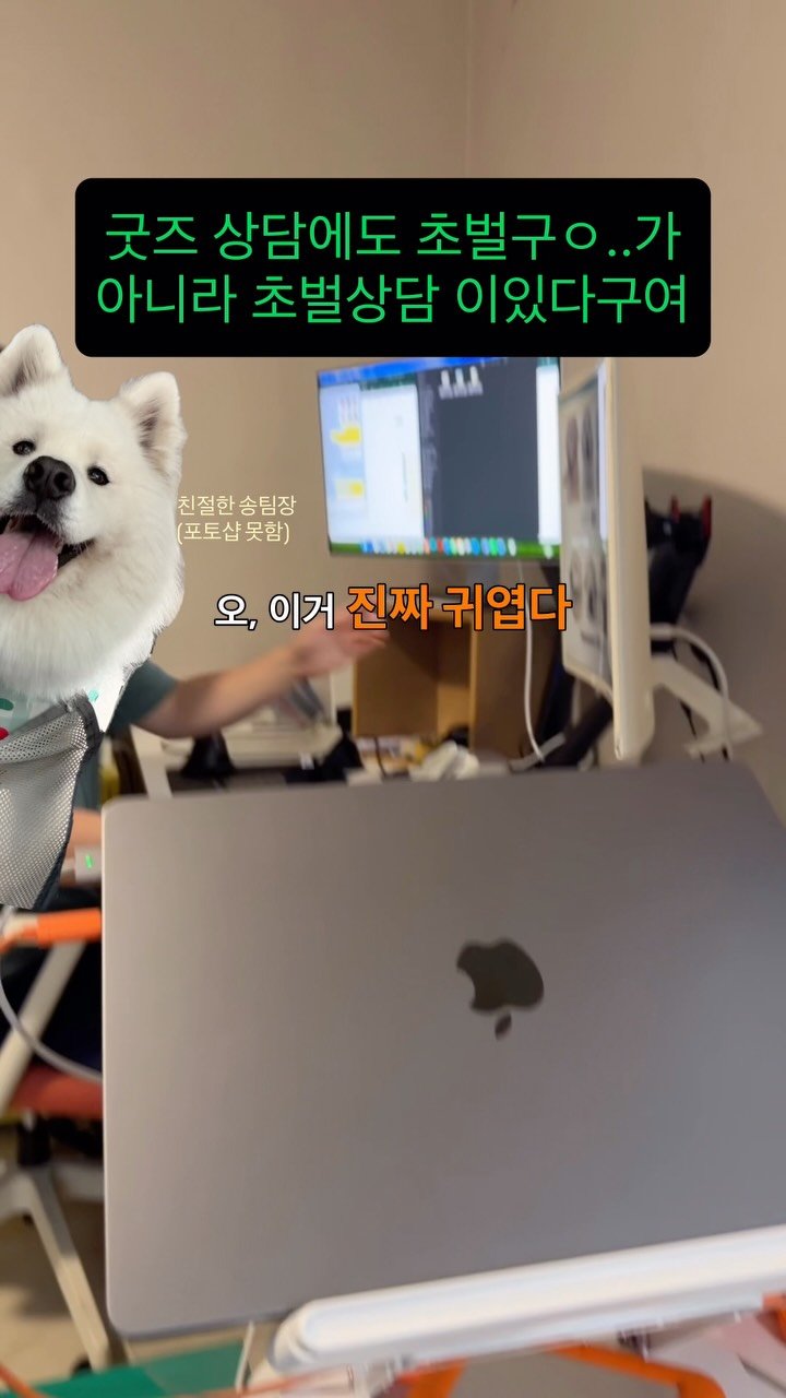rollo_ralla 게시물 이미지: 귀엽게 대우 받으실 귀한 분들은 
프로필 링크로 와주시기 바랍니다🧡
