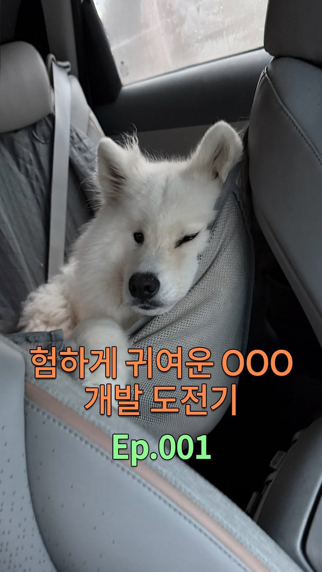 rollo_ralla 게시물 이미지: 귀엽지 않으면 어쩌지…😭

그래도 사고 한번 쳐볼게요??

귀엽게 나오라고 주문...