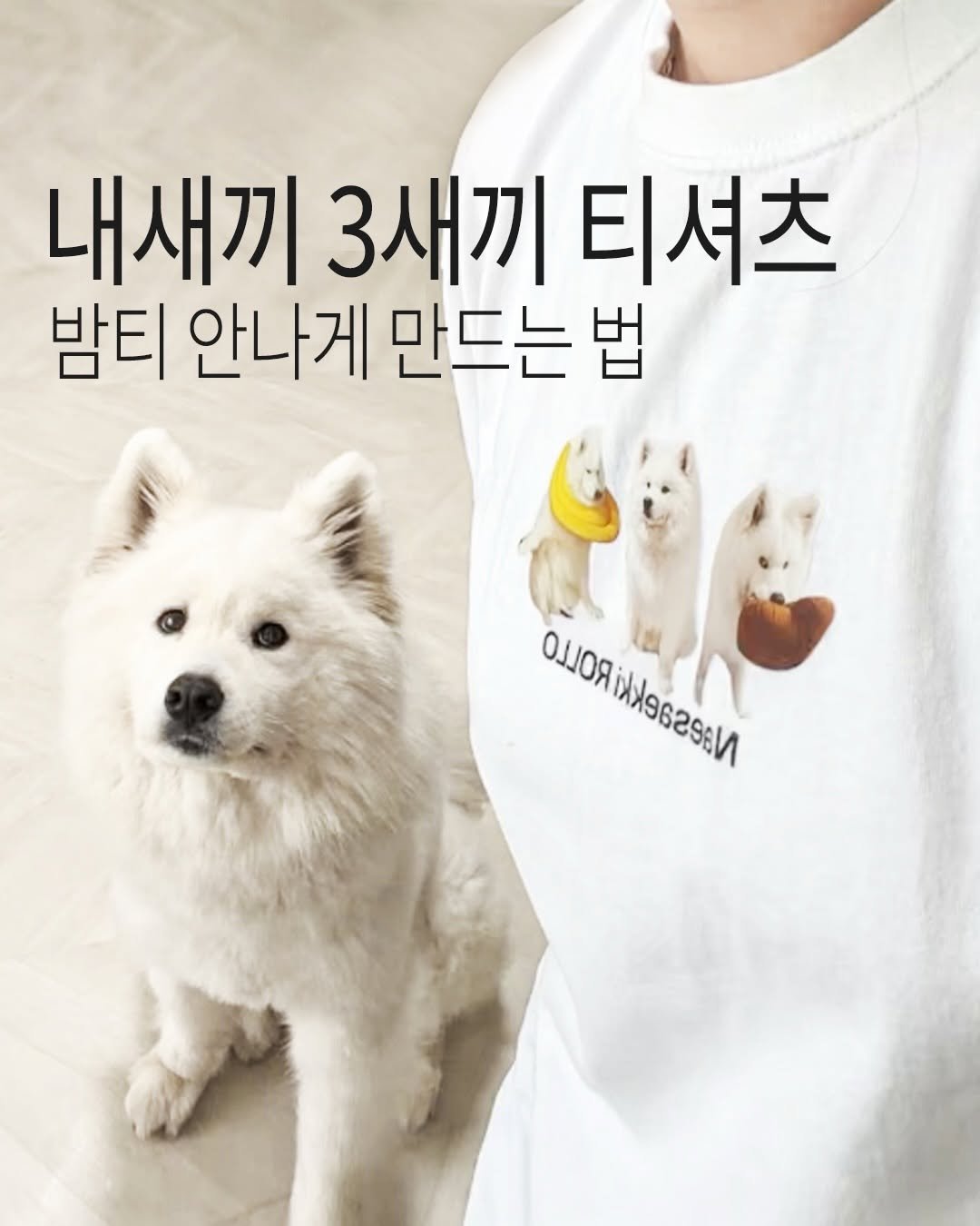 rollo_ralla 게시물 이미지: 사진이 고민된다면 
언제든지 저희와 함께해요🧡

내새끼 3새끼 티셔츠는 프로필 링크에서!