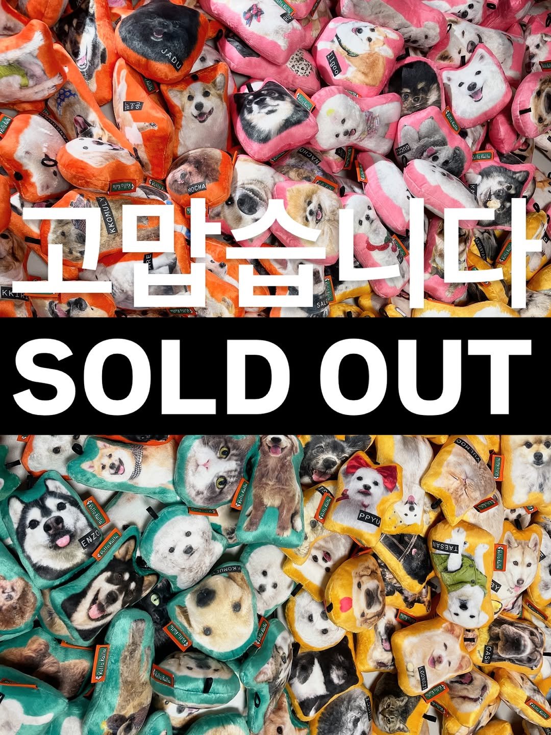 Photo by 롤로랄라 | 내새끼에 진심. 열심. 초심🔥 on February 14, 2026. May be an image of toy and text.