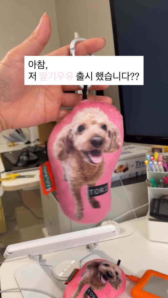 rollo_ralla 게시물 이미지: 오늘만 한정
마지막 2만원대
내새끼 키링