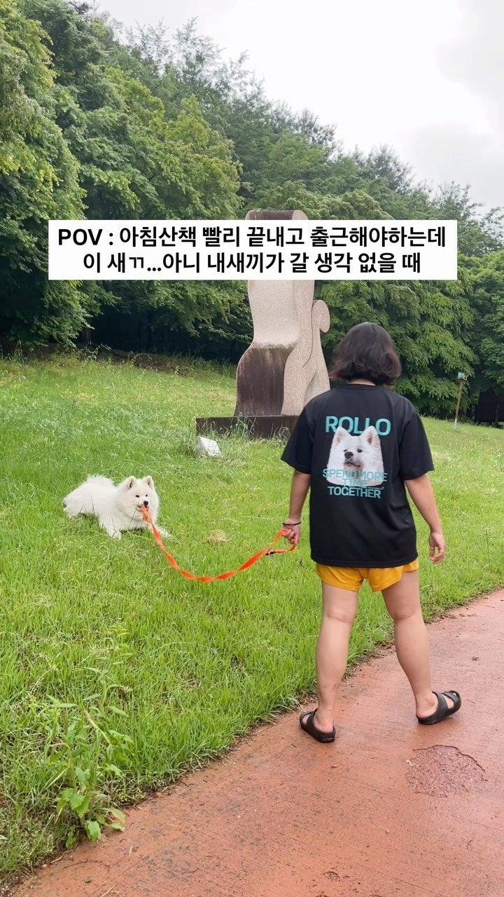 rollo_ralla 게시물 이미지: 오늘 아침 격하게 겪으신 분??