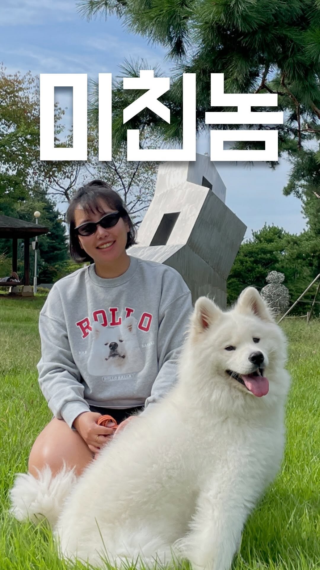 rollo_ralla 게시물 이미지: 너 나의 동료가 되어라.