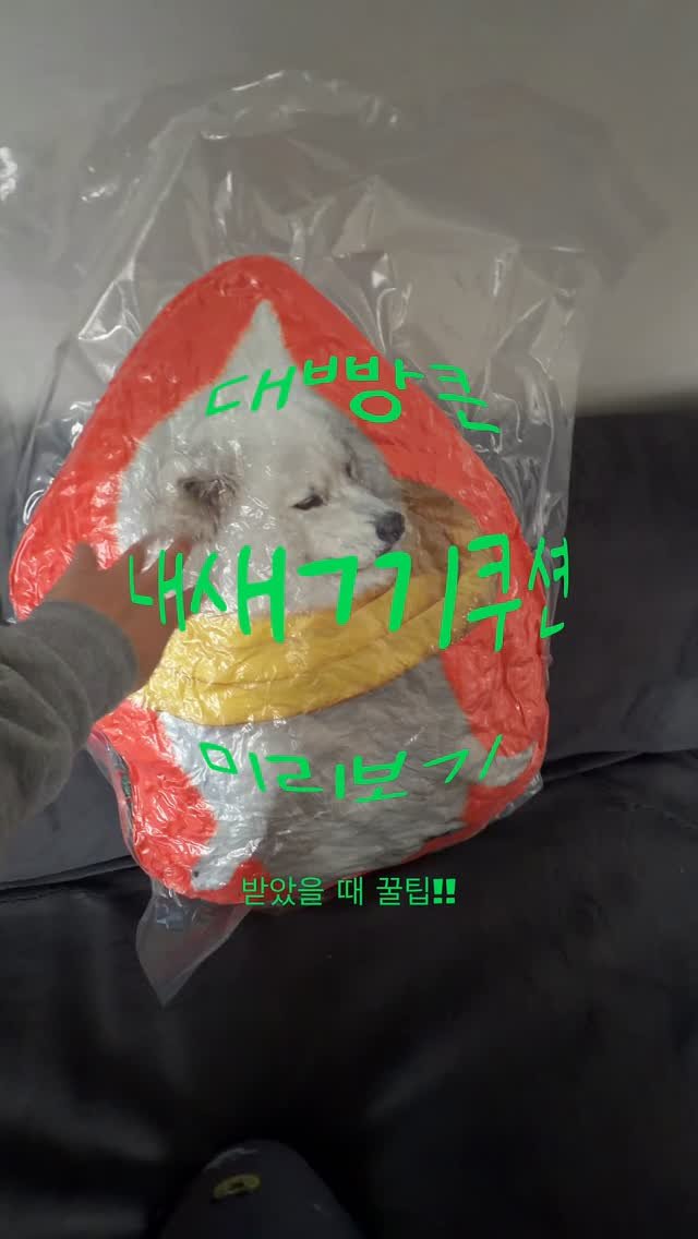 rollo_ralla 게시물 이미지: 오늘부터 받아보실텐데..
받아보시면 내새끼 팡! 팡! 팡! 팡!...