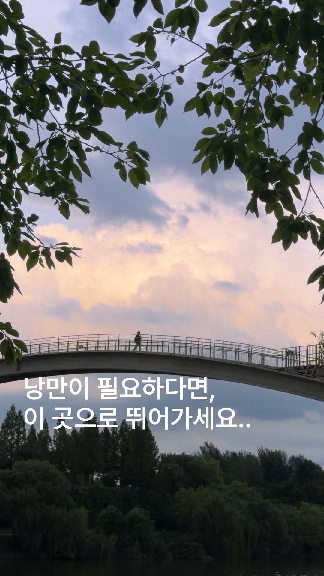 romantic.collector 게시물 이미지: 낭만이 필요하다면 이 곳으로 뛰어가세요…🌿

🏷️ 양화한강공원 

📍위치: 서울...
