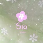 sio__studio_ 프로필 사진
