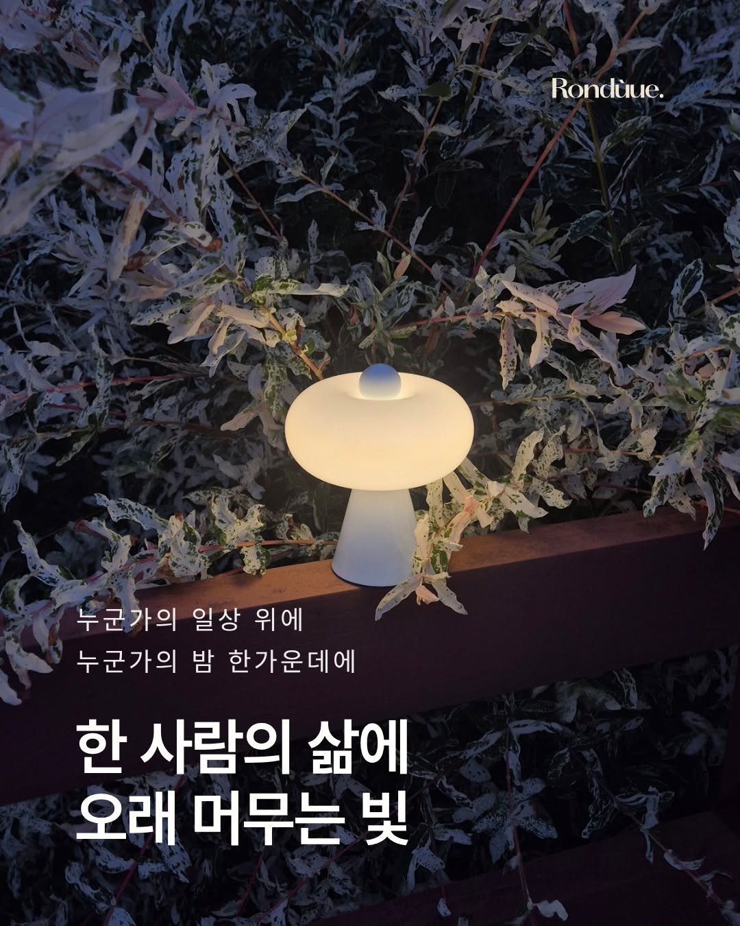 롱들레 미니
