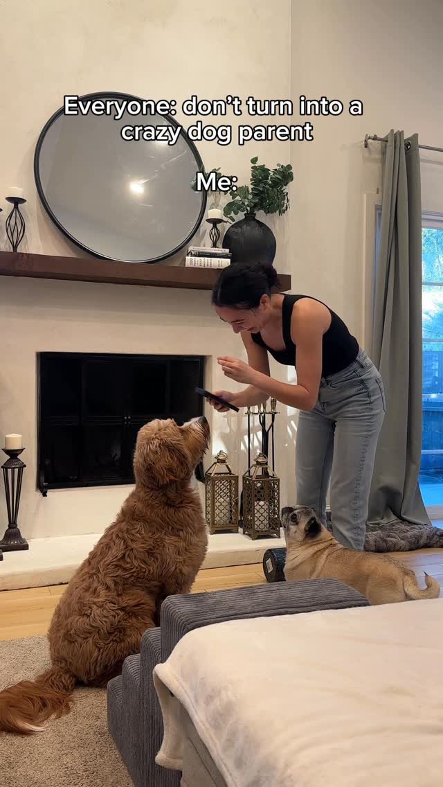 ronronfam 게시물 이미지: Who is this diva? 🤨 @elliethedoo