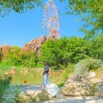 healynae 프로필 사진