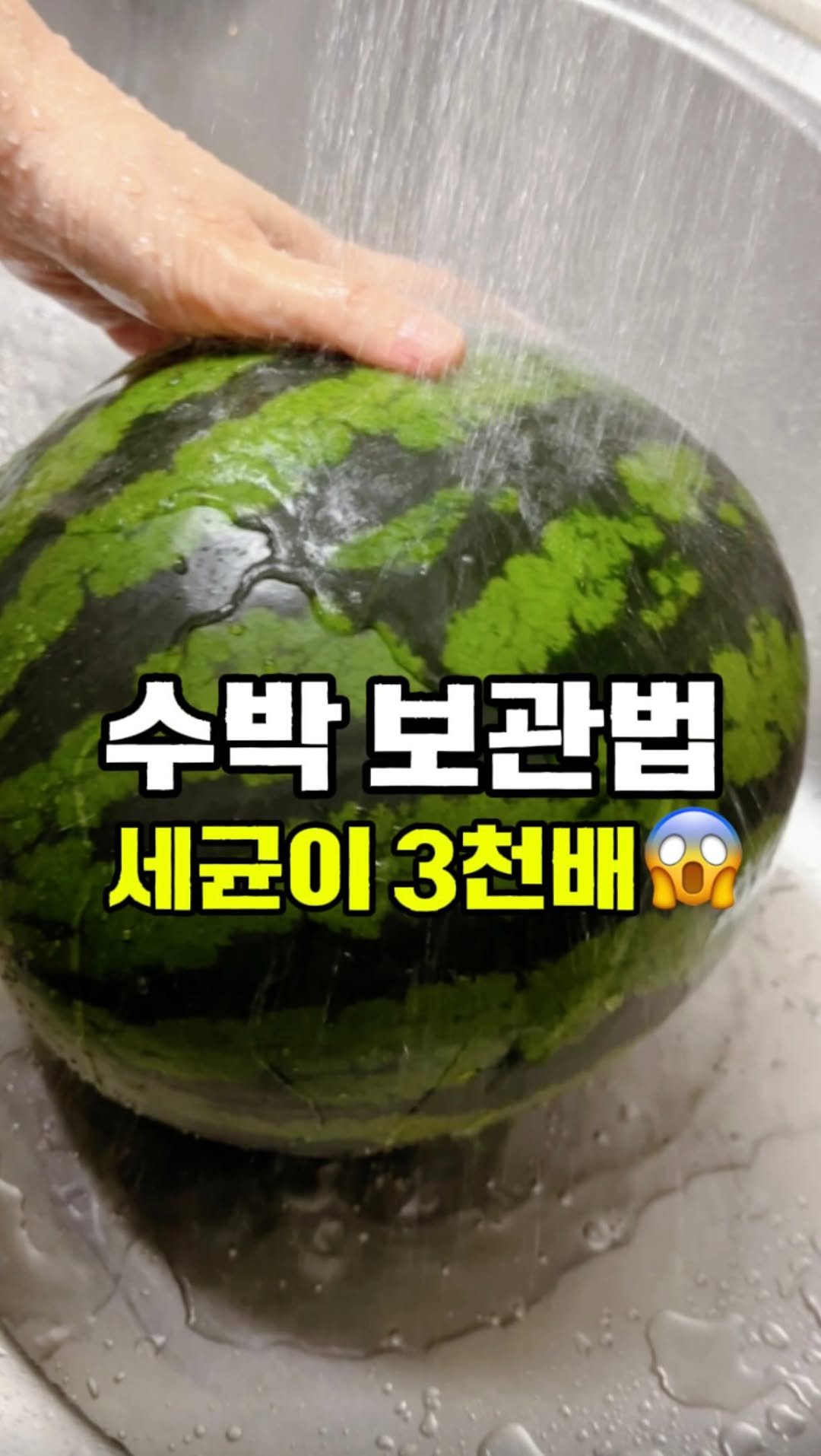 rorang_table 게시물 이미지: 수박 이렇게 잘라서 보관하세요~

수박씨 쉽게 빼는 법 알려드렸더니 450만뷰나...