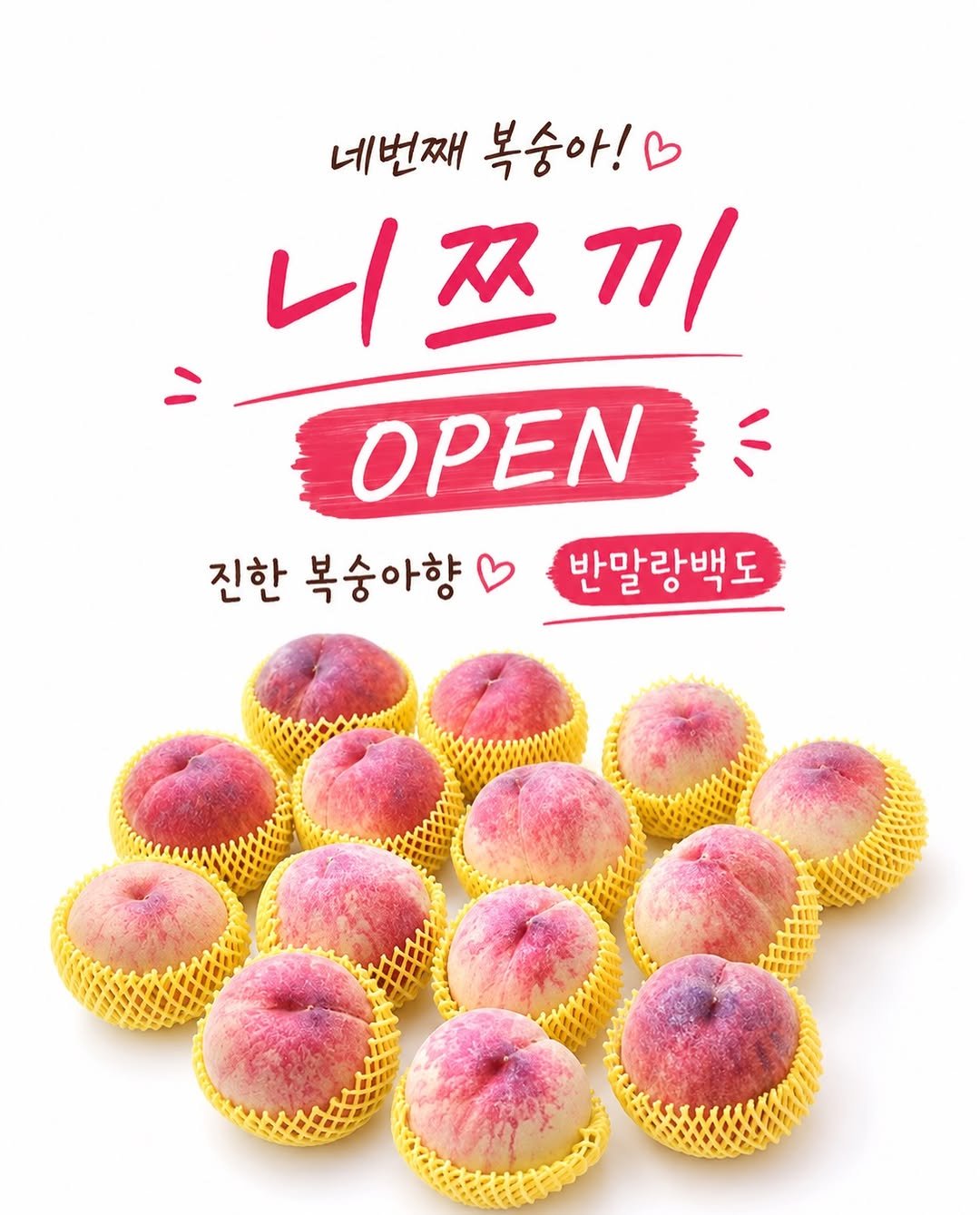 roro_fit_ 게시물 이미지: 🍑 반말랑백도의 마지막 품종! 니쯔끼 OPEN 🍑

🧑‍🌾1차수확:...