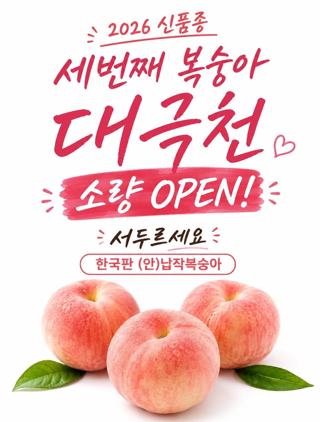 roro_fit_ 게시물 이미지: 🍑8가지 복숭아스캐쥴이 빡빡합니다! 

이제3번째 대극천! 딱복입니다!👌
크기...