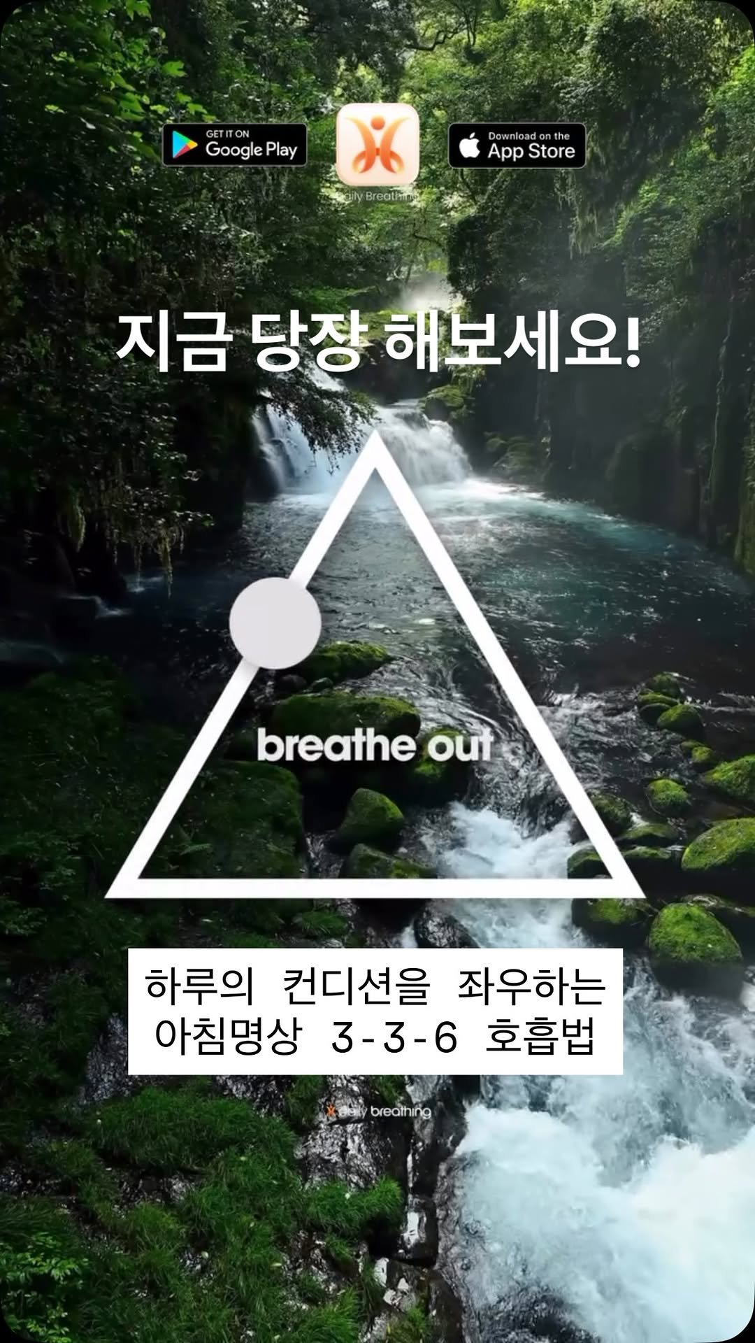 roro_fit_ 게시물 이미지: 💡3-3-6 내면의 평화를 위한 숨 쉬기

🔻코로 3초 동안 숨을 들이쉬세요
🔻3초...