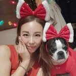 ajinterrier 프로필 사진