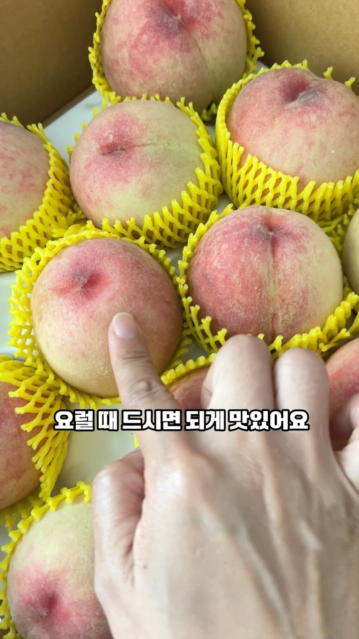 roro_fit_ 게시물 이미지: 🍑 반쫀득 복숭아의 참맛, 후숙해서 드셔보세요!

마트나 시장에서 사온...