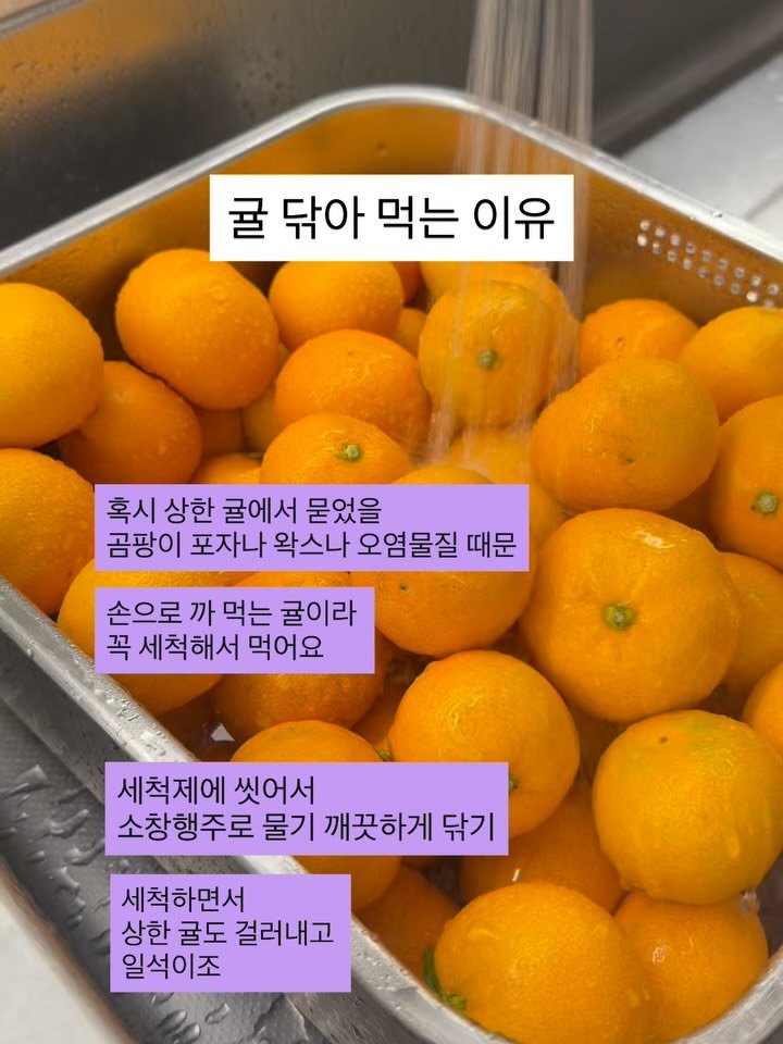 rosa_sallim 게시물 이미지: 귤은 🍊이렇게 세척해요!

손으로 까 먹는 귤이라
저는 항상 세척해 둬요

상한 귤...