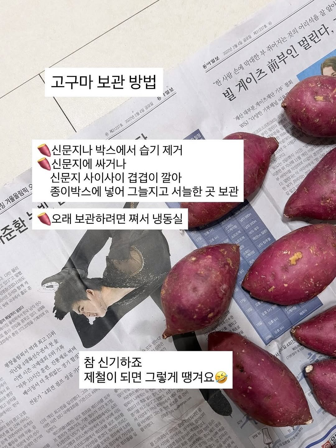 Photo by 로사  |  살림극장 on November 11, 2025. May be an image of text that says '定31237號 မ 어리석을 공요얼 2622년 蛋45 줘어지는 동아일보 사람손에 막대한 餐盛 기부채널 미요 '재산 WISJ 대부로 다양한 開山区組へ商 고구마 보관 방법 일보 20271년28시일해 容宏量 20Y28 신문지나 박스에서 습기 제거 신문지에 싸거나 신문지 사이사이 겹겹이 깔아 종이박스에 넣어 그늘지고 서늘한 곳 보관 겨울올림픽 처울움림픽 준환 NA 生 강열고수 .. 오래 보관하려면 쪄서 냉동실 本うスは 냉지했오 ርንንዶ፡ A 효선을 警 기가 없나닭지석을 여일까지는 男のス 裕10 총정273.29107 15위 평창을럽픽선역대 준국제대회용위기록 喜選 범찍시역대 发全 4대특~선수겹서것 진통제로회 는경기람절 참 신기하죠 지난말 이번 베의징서려 4회전점 제철이 되면 그렇게 땡겨요 8갱창 선적을 최고정을 CCSASI APoT 揚込 19% 보일4회전 7送合ぐジさな！'.