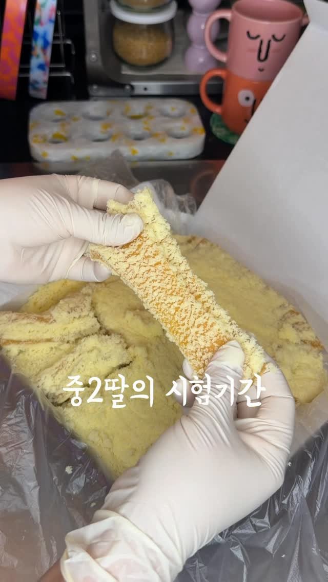 rose_salrim 게시물 이미지: 중2딸의 덕질릴스 곧 200만 감사합니다🙇🏻‍♀️

딸을 좀 더 이해하고, 딸도...