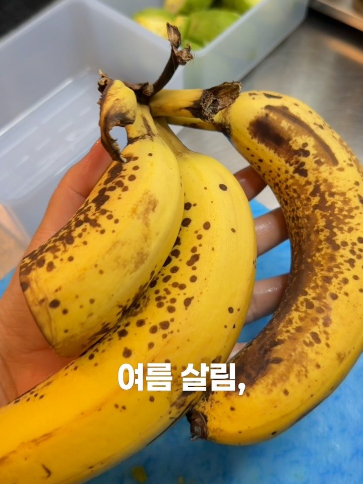 rose_salrim 게시물 이미지: 여름살림, 날파리와의 전쟁🪰 

조금만 방심하면 성가신 날파리가 생기는 여름입니다....