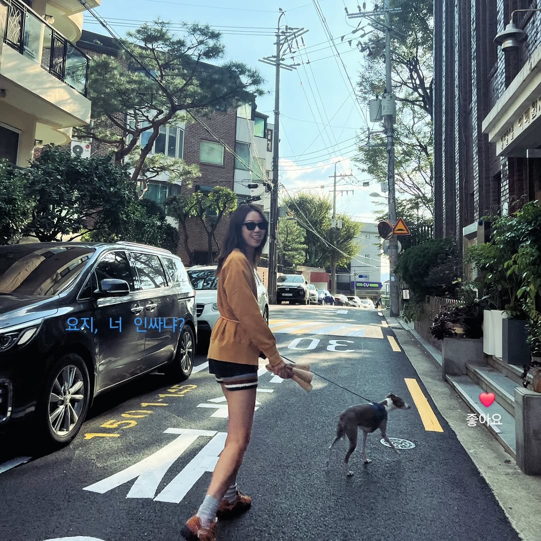 Photo by Hjk on November 17, 2025. May be an image of street, road and text.