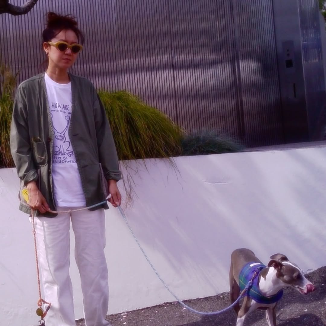 Photo by Hjk on November 17, 2025. May be an image of ‎text that says '‎W HOWARES م HOWARE‎'‎.