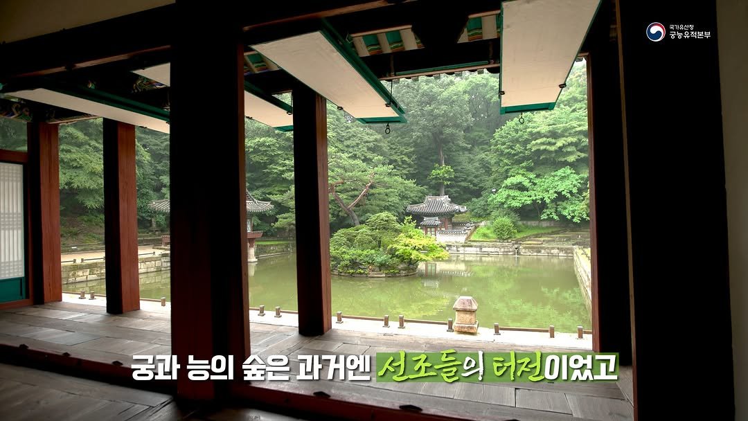 royalpalaces_tombs 게시물 이미지: 궁과 능의 숲은 조용히, 그러나 꾸준히
지구의 숨결을 지켜주고 있습니다.🌍

우리의...